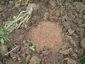 ��������������������