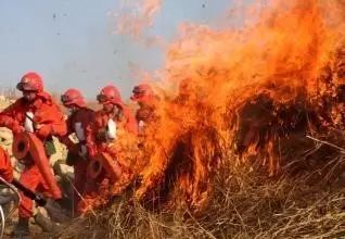 ������������ɭ������ </p>