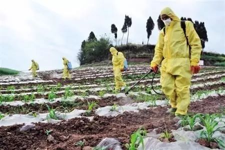 ����������Ϊũҩ����